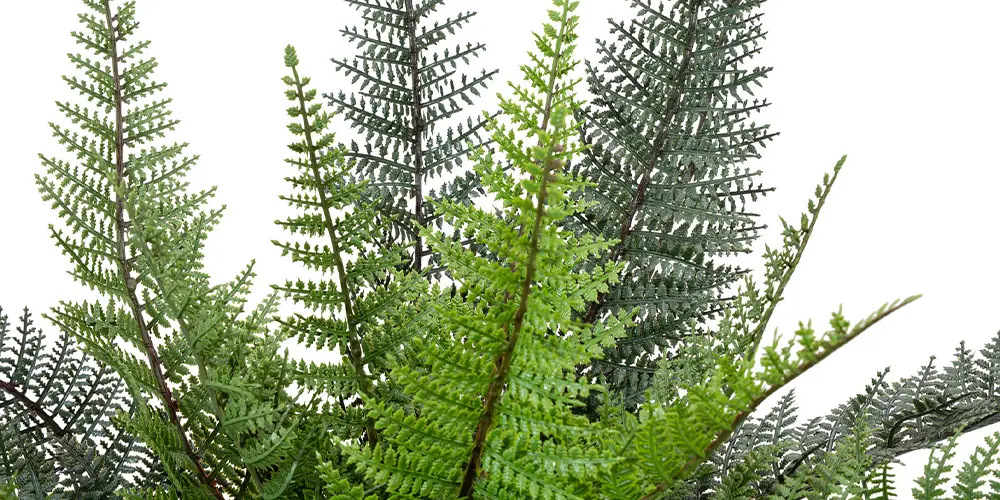 FIRESILX fire-retardant artificial plants